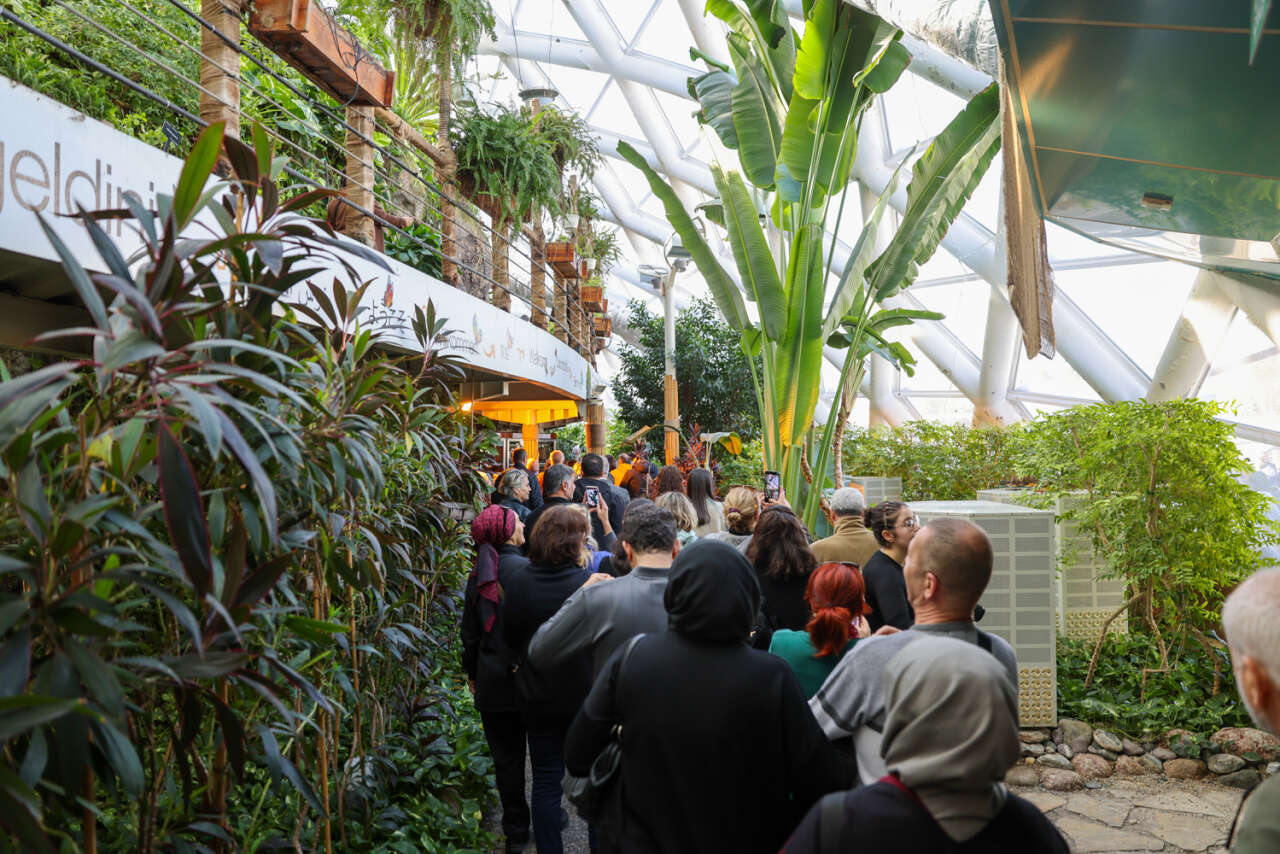 Konya’nın kelebek cenneti ziyaretçi rekoru kırdı 11